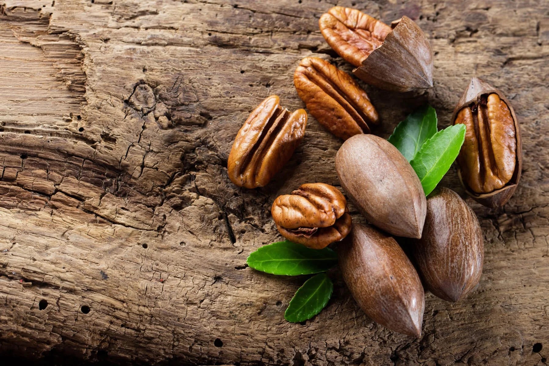 Different Types Of Pecans Explained